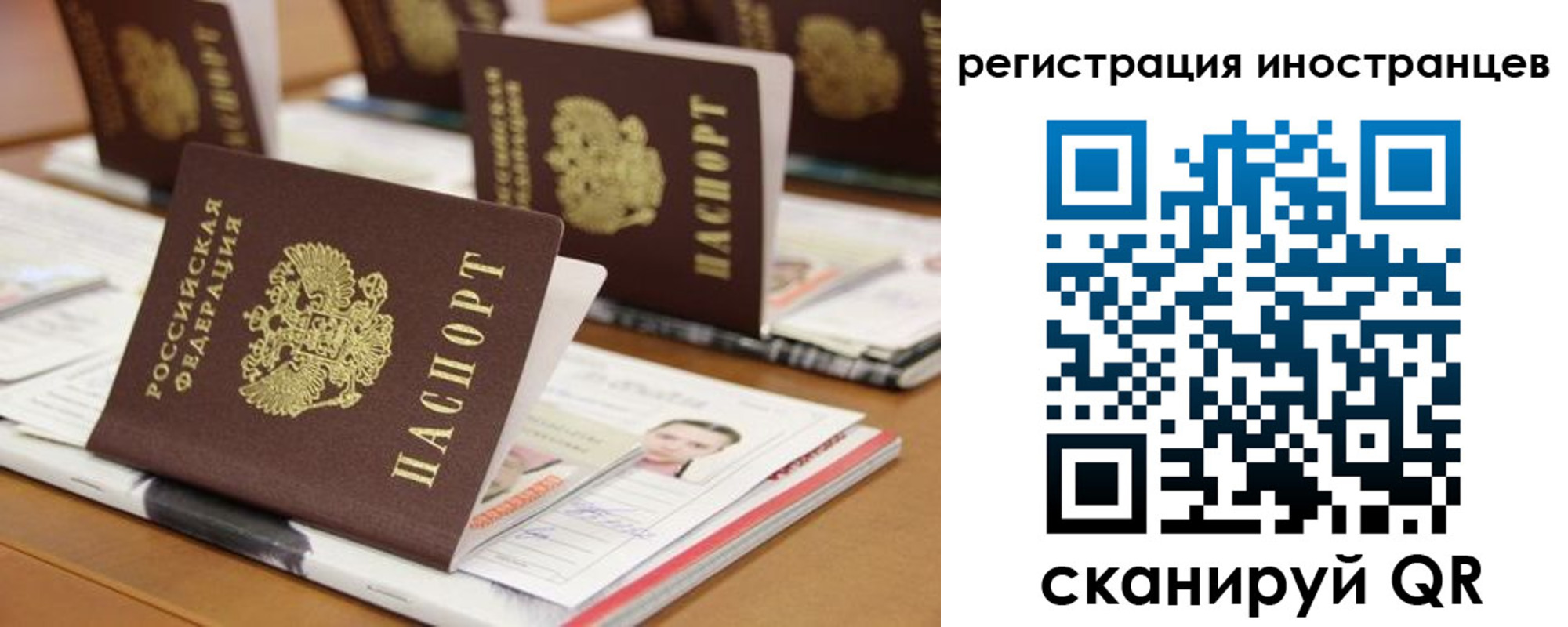 пропишу в квартире в Зеленогорске