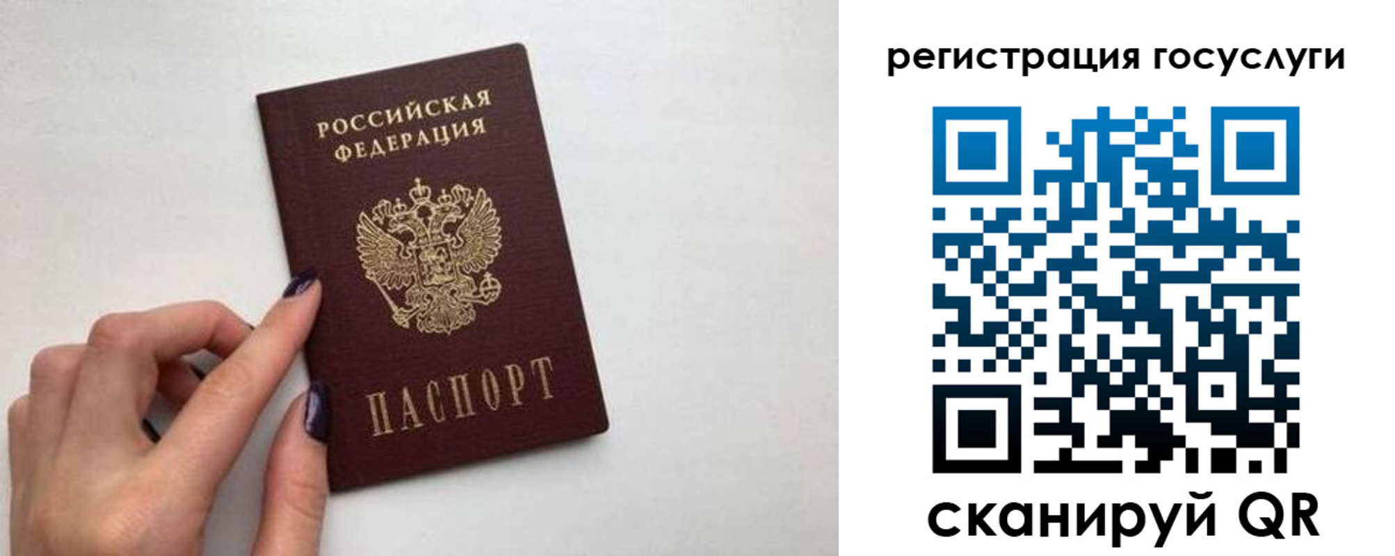 временная регистрация гарантия в Зеленогорске